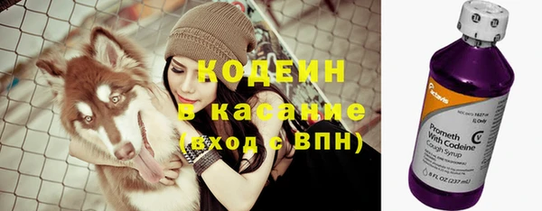 таблы Алзамай
