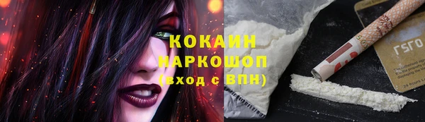 соль ск Алексин