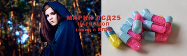 соль ск Алексин