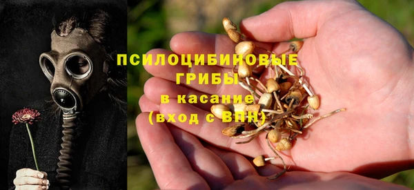 соль ск Алексин
