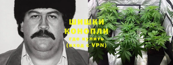 соль ск Алексин