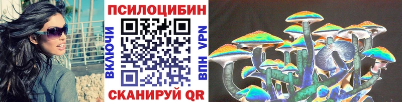 Галлюциногенные грибы Psilocybine cubensis  Мариинск 